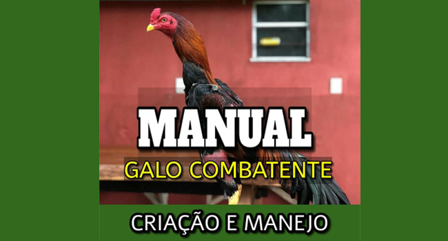 Galo combatente - Manual criação e manejo